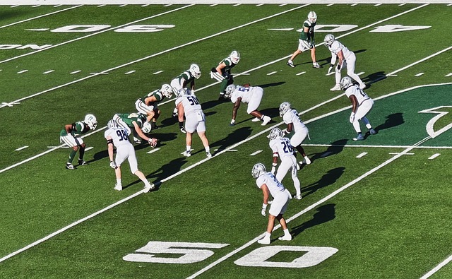 摔跤联合会 摔跤联合会