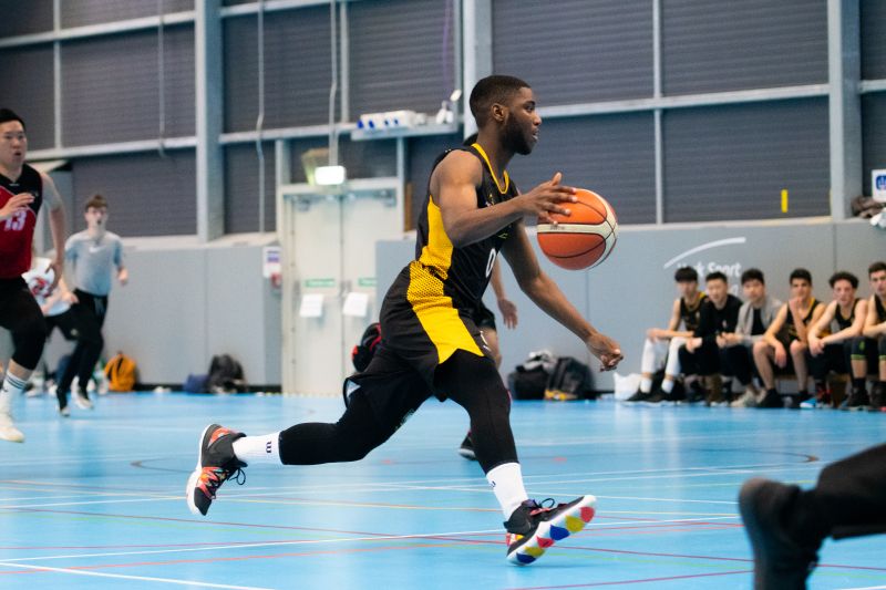 展家族的基 展家族的基