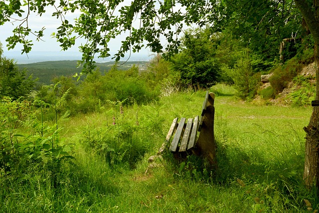 时机判断 时机判断